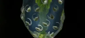 Eugenio Recuenco y Jaime Culebras en Festival 2025