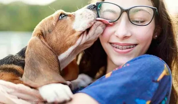 Mascotas, mejores amigos de las personas