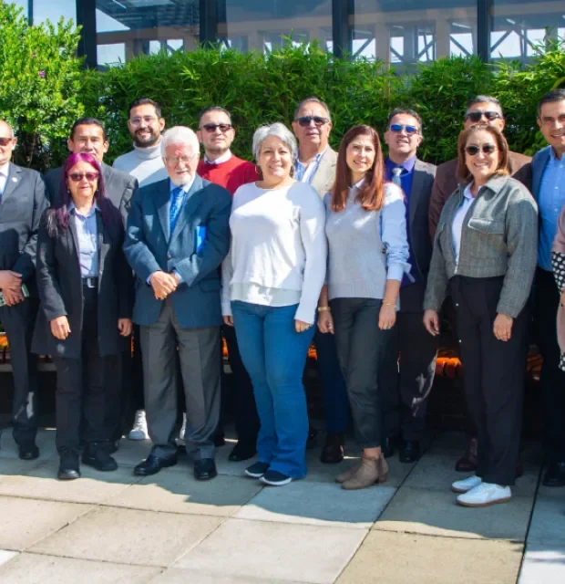 Red de Programas de Ingeniería de Sistemas 