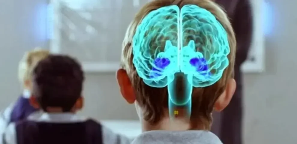 como-la-neuroeducacion-y-la-inclusion-transformaran-el-futuro-laboral-en-colombia