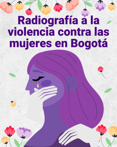 Radiografía a la violencia contra las mujeres en Bogotá