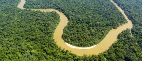 Amazonas