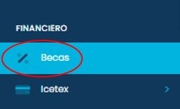 Menú financiero - becas