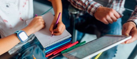 Cuál es el perfil de un licenciado en educación básica primaria requerido en el mercado laboral