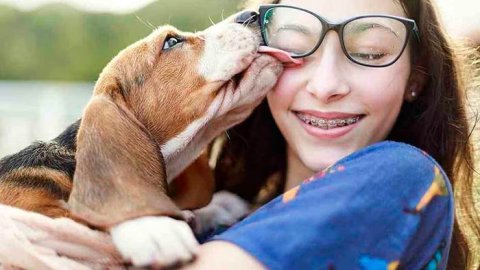 Mascotas, mejores amigos de las personas
