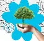 Día Internacional De Los Bosques