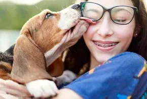 Mascotas, mejores amigos de las personas