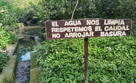 Visita Humedal
