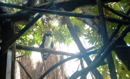 Poli visita a la biorreserva de Cota 6