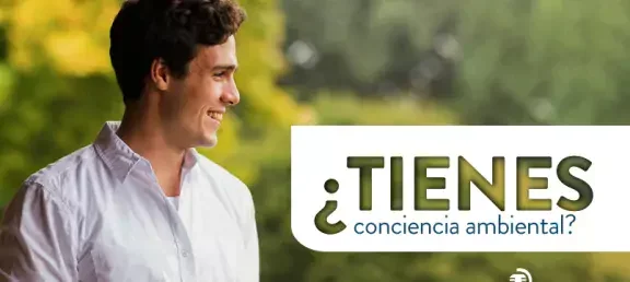 ambiental-puntos-y-letras.jpg