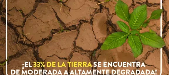 com-4495_-_dia_internacional_de_la_conservacion_del_suelo_web.jpg