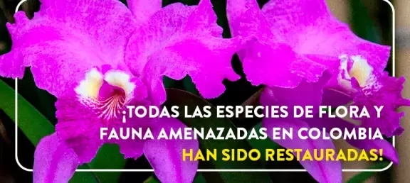 dia_internacional_de_la_diversidad_biologica_-_web_noticia_-_805x536px.jpg