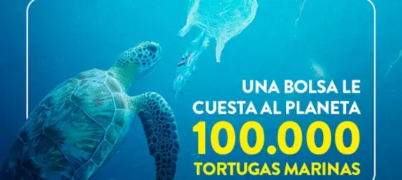 dia_internacional_libre_de_las_bolsas_de_plastico_-_web_noticia_-_805x536px_0.jpg