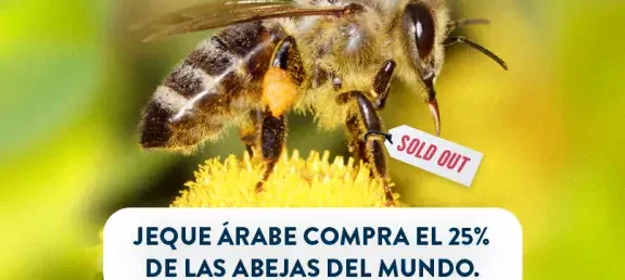 dia_mundial_de_las_abejas_-_web_noticia_-_805x536px.jpg