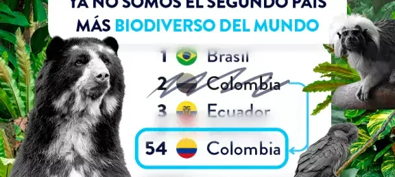 dia_mundial_de_los_animales_-_web_noticia_-_805x536px.jpg