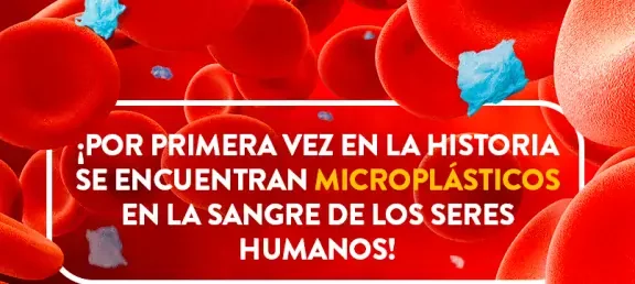 dia_mundial_del_medio_ambiente_-_web_noticia_-_805x536px.jpg
