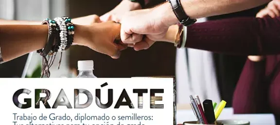 graduate-opcionesgrado_003.jpg
