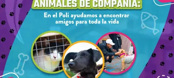 jornada-adopcion-mascotas-2022-web-noticia_0.jpg