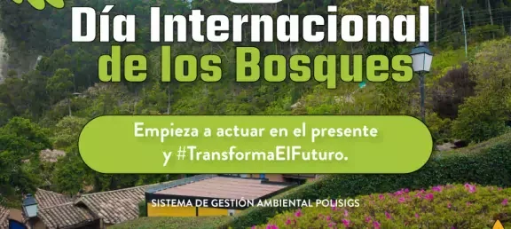 kv-dia-internacional-de-los-bosques-web-noticia-ajuste.jpg