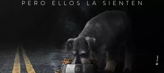 no-mas-colillas-cabezote-web-noticia-805x536px.jpg