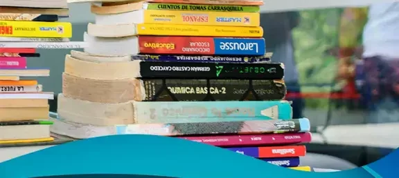 noticias-campana-donacion-libros-colegio-maestro-la-sierra-mede.jpg