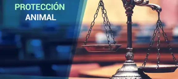 proteccion-animal-web.jpg