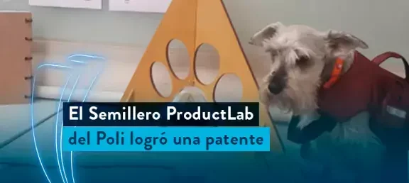web-noticia-chaleco-dual-mascotas.jpg