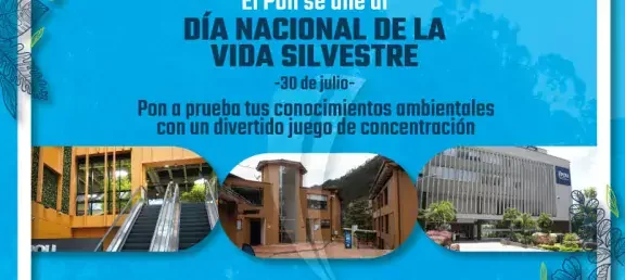 web-noticia-dia-nacional-de-la-vida-silvestre.jpg