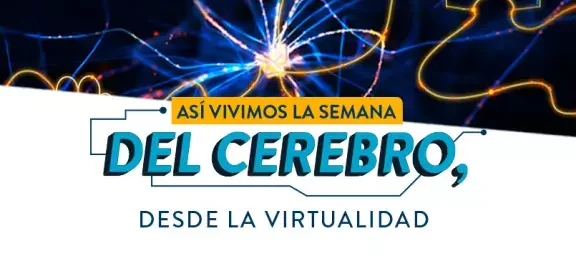 web-noticia-semana-cerebro.jpg