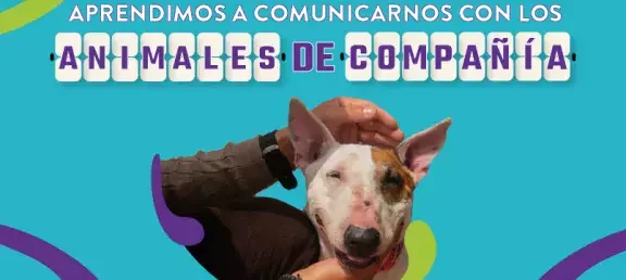 web_noticia-com-4721_-_cubrimiento_animales_de_compania.jpg