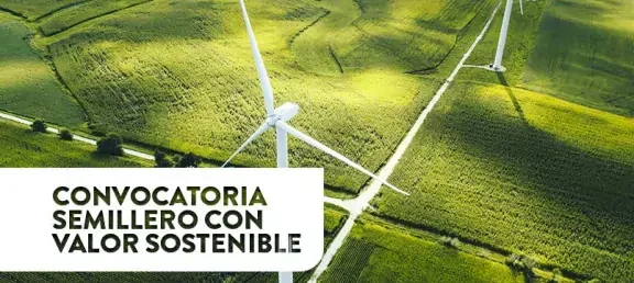 webn-convocatoria-semillero-valor-sostenible.jpg