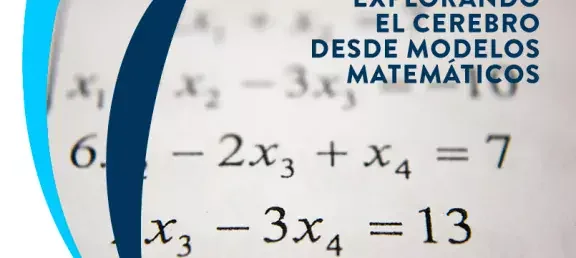 webn-matematicas-neurociencias.jpg