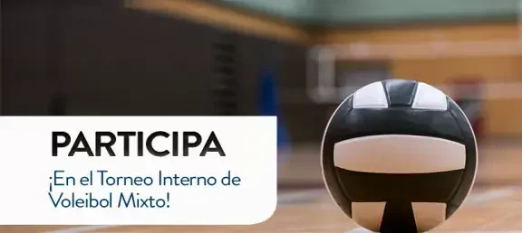 webn-torneo-interno-voleibol.jpg