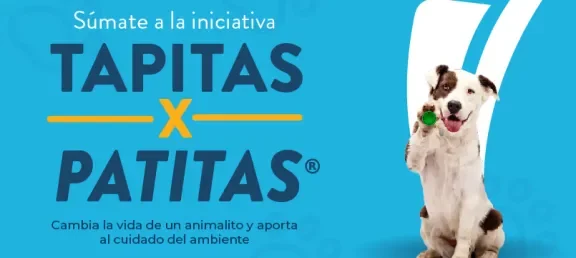 com-5653-_tapitas_x_patitas-web_noticia.jpg