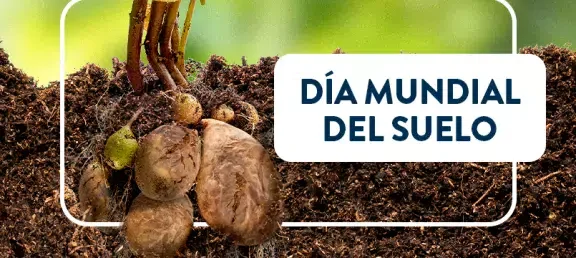 dia_mundial_del_suelo_-_web_noticia_-_805x536px.jpg