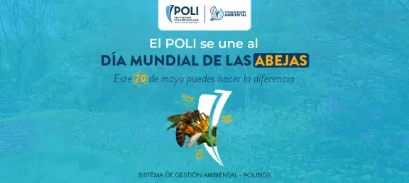DÍA MUNDIAL ABEJAS