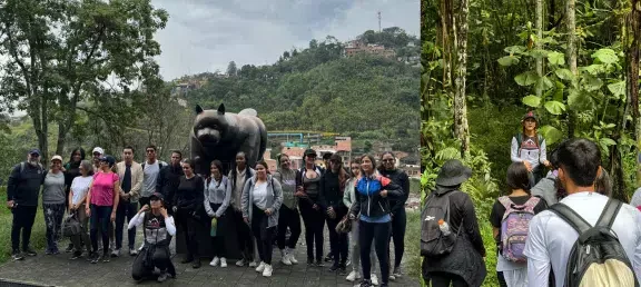 Trekking bosque de ensueño 