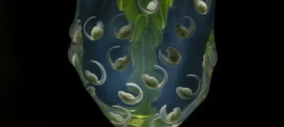 Eugenio Recuenco y Jaime Culebras en Festival 2025