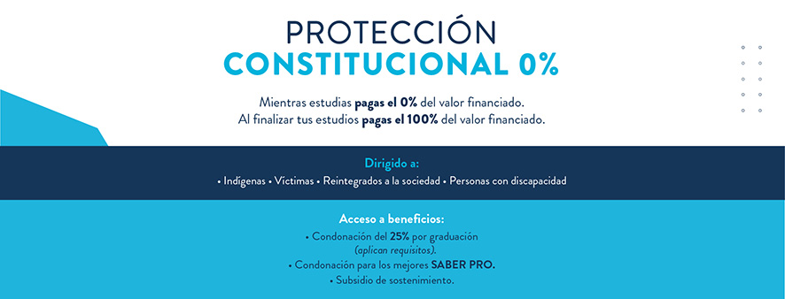 Protección constitucional