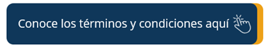 Términos y condiciones